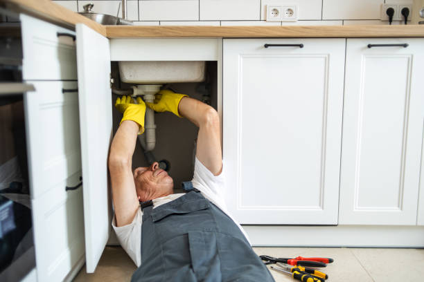 Best Shower Repair Services  in Magnolia Springs, AL