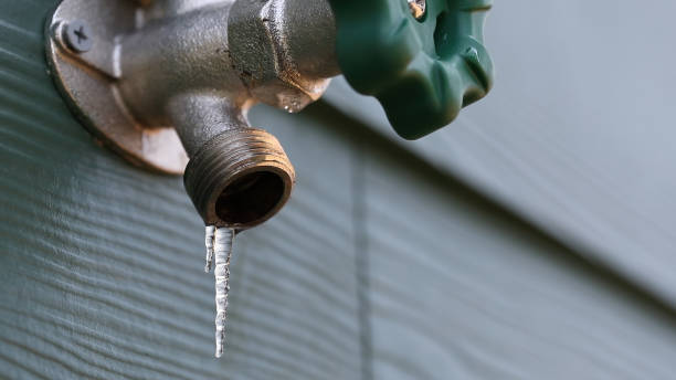 Best Water Leak Repair  in Magnolia Springs, AL