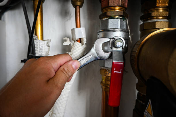 Best Local Plumber Services  in Magnolia Springs, AL